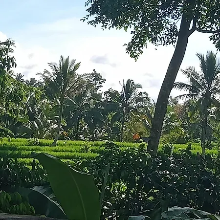 Pranamastra Bali