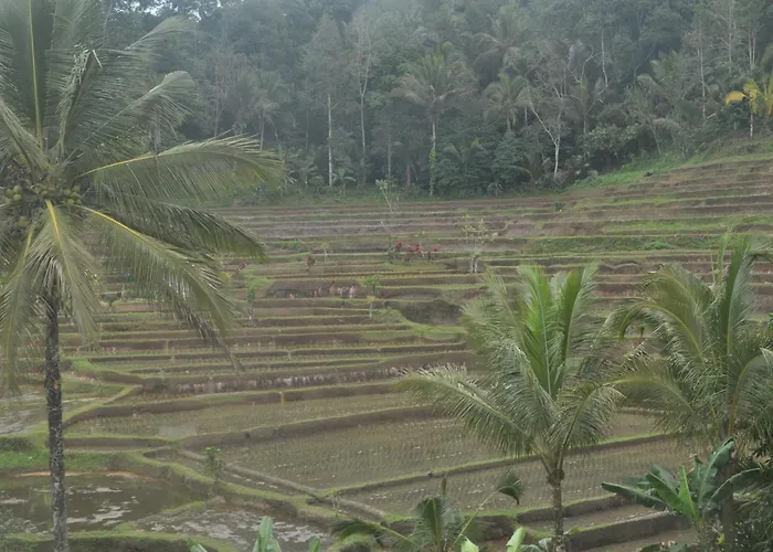 Pranamastra Bali Bed & Breakfast Jatiluwih