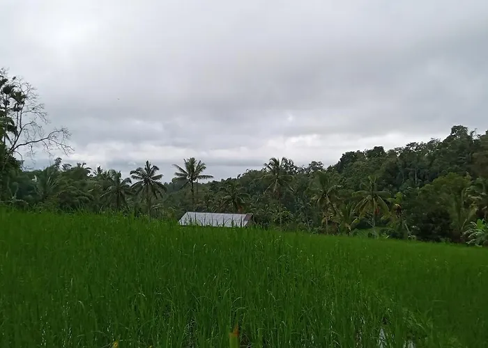Pranamastra Bali Bed & Breakfast Jatiluwih